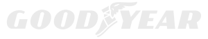 Assets_Logo_Goodyear